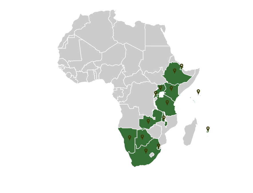 Map of Africa detailing COVID-19 updates