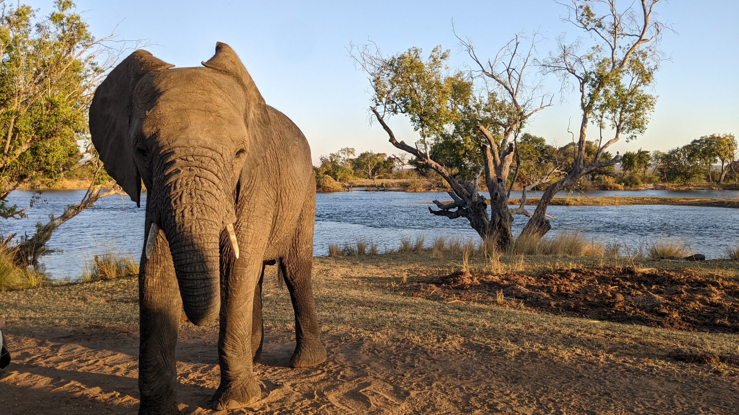 zambia tourist visa